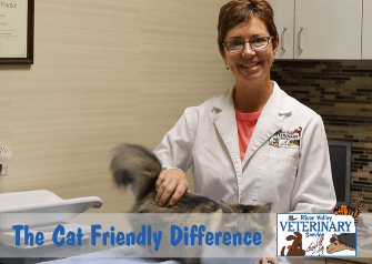The Cat Friendly Difference