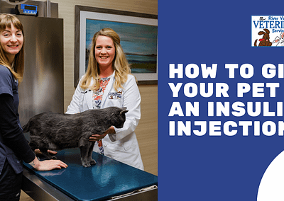 How to Give Your Pet Insulin