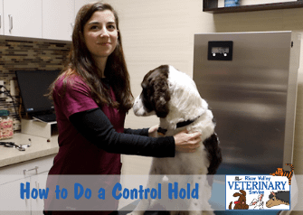 How to Do a Control Hold