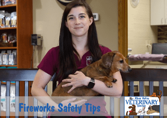 How to Keep Your Pet Safe and Happy During Fireworks Season