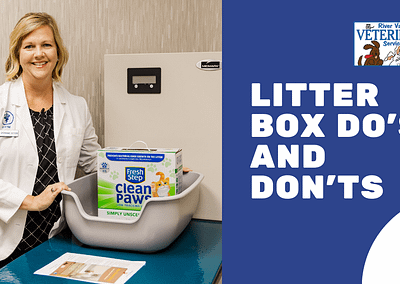 Litter Box Do’s and Don’ts